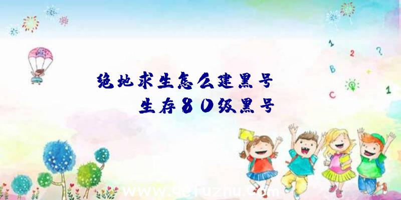 「绝地求生怎么建黑号」|pubg生存80级黑号